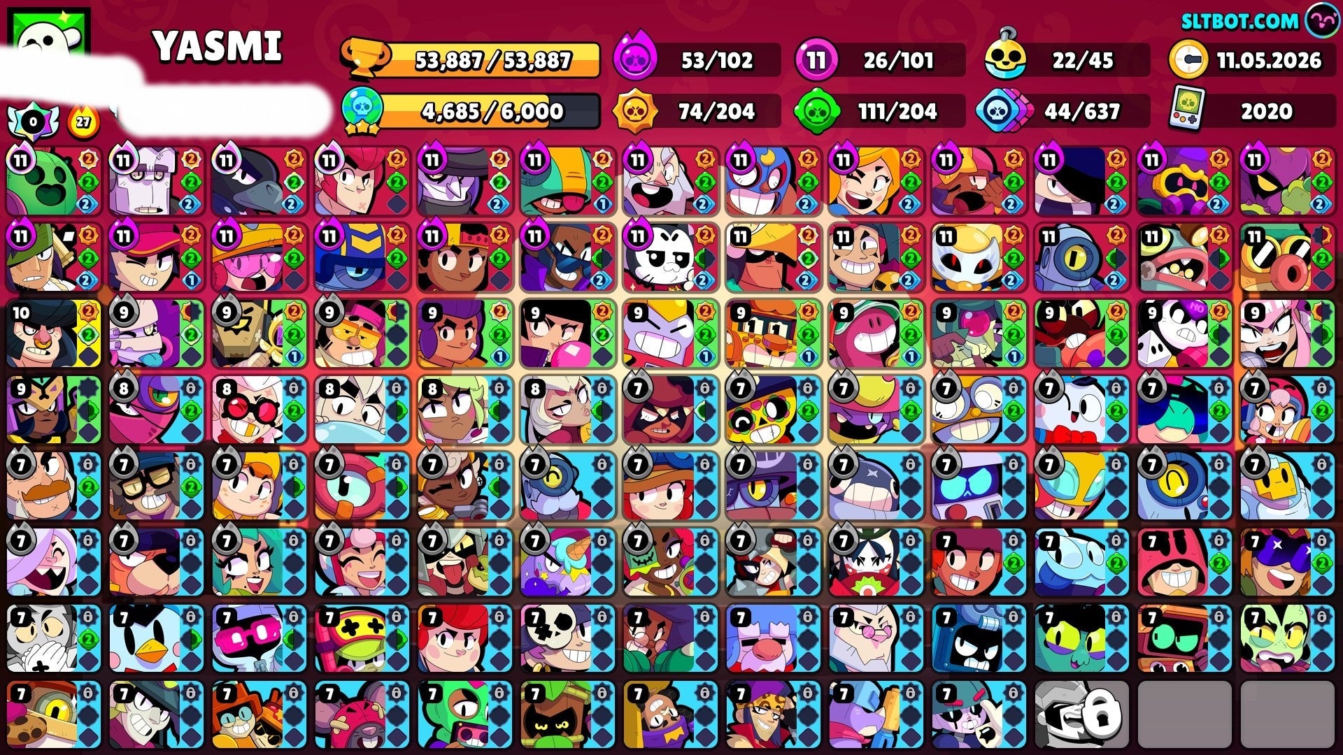 101 BRAWLERS 53K